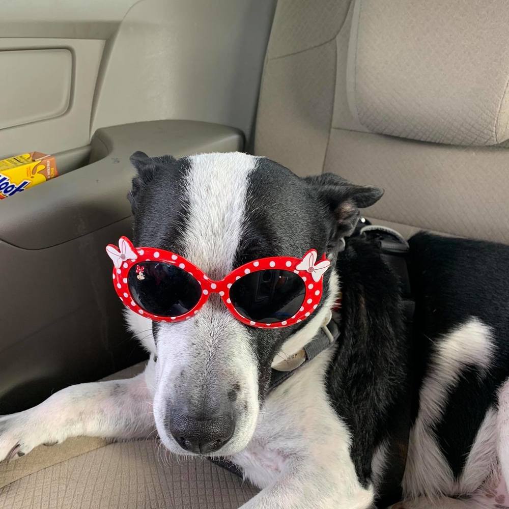 Meet your Posher, Jennifer